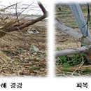동해기술 네이버블로그