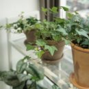아이비환경(주) 이미지