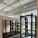 루다피티 이미지