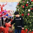 아이와 일본 오키나와 가족여행 가볼만한곳 팀랩 퓨처파크
