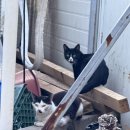 팜팜스테이 이미지