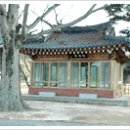 산동면 월산마을 네이버블로그