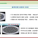 주식회사 위드해피 이미지