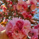 경주숲 3,4 이미지