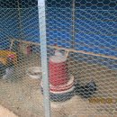 성일농원 이미지