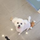 송내동3 이미지