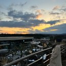 팔석 | [Jeju] 3일차 : 한라산 1100고지