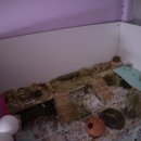 독립문동물병원 이미지