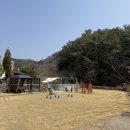 326-1-000013 | [담양 여행] 담양 비밀의문 애견독채펜션 반려견동반숙소 2박 3일 여행