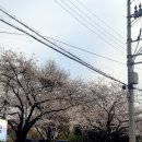 써브웨이 부산시청점 | 부산시청 카페 블루베리 플레이버가 특히 맛있는 “그릭오” 그릭요거트 맛집