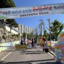 동해중앙초등교 이미지