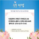 탑비디오 이미지