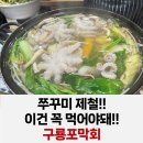 구룡포막회 | 교대 맛집 4월 제철 쭈꾸미 샤브 제대로 먹은 곳, 구룡포막회 솔직 후기