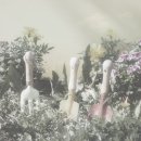 주변스포츠 이미지