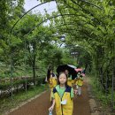 6월21일(수) 구산초 활동내용- 김윤경,정일선 이미지