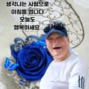 9월 18일 월요일 개 🐕 띠방 출석부 이미지