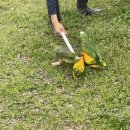 고봉민 김밥 세곡점 | 4월 산산조각으로 살기