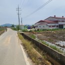 농업회사법인 (주)에스피 Daum카페