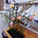 원예가드닝 이미지