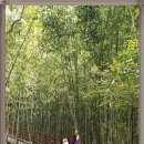 흥부네민박 이미지