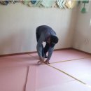 온수경로당 뉴스충청인