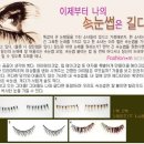 나의속눈썹 이미지