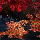 풍수지리와 역학기초 | 풍수지리 공부 도우미 &lt;1차&gt;