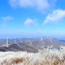 태기산 설경...강원 횡성 이미지