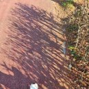 진주미소약국 이미지