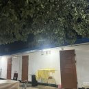 살구나무펜션민박 이미지