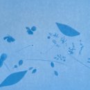 원천초등학교병설유치원 이미지