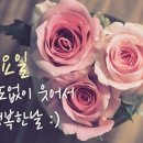 5월 이미지