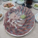 진성횟집 - 진주시 일반성면 | 진성횟집