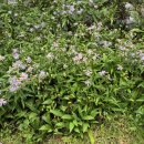 바우지움조각미술관 이미지