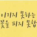 복주초등학교 이미지