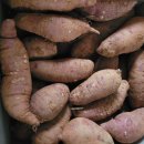 (취소)밤고구마 릴 나눔합니다 이미지