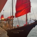 하버크루즈 이미지