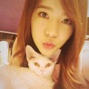 써니 & 푸드 이미지