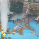 가양초등학교 정문 건너편 이미지