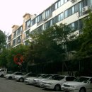 신월동210 이미지