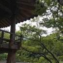 문화마을봉전 | 경상남도 함양 여행 “거연정” “군자정” “영귀정” 화림동계곡 정자