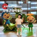 우표박사 | 경기도 양평 아이와 실내 가볼만한곳 양평곤충박물관