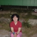 삼오약국 이미지