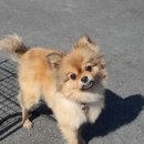 동부파출소 이미지