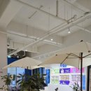 야탑 반려견 이미지