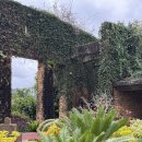 트로피칼드림 | 오키나와 여행 필수 코스 l 츄라우미 수족관 트로피컬 드림센터 후기