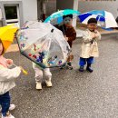 선우 엄마랑 비오는 날 데이트~☔️ 이미지