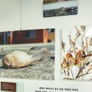 충남야생동물구조센터 이미지