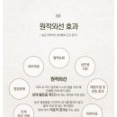 편백나무 쉼