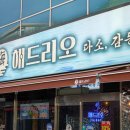 한잔해야지 막회 | 수완지구 횟집 해드리오 광어막회 탕세트 후기